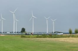 Reymerswael – 04 augustus 2022