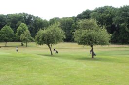 250529 CLUB KAMPIOENSCHAP & WINGE CUP