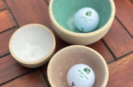 Uitstap Best golf 7 augustus