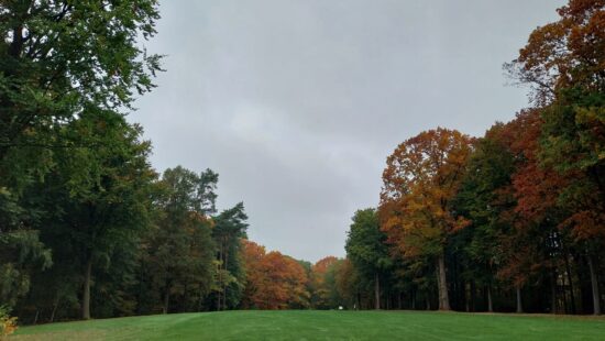 Ladies op de Fore Course op donderdag – reglement