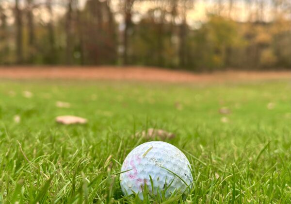 Winge Rabbits maart 2023