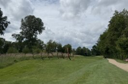S – Hasselt-Winge 19 mei
