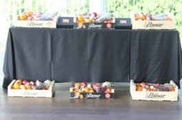260508 MEN’S DAY aangeboden door Llusar(18h) & LATE MEN’S DAY (9h)