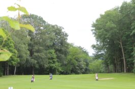 260606 L-CUP aangeboden door PALM (18h & 9h)