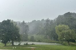 Degroof Petercam Ladies cup 4 juni 2026