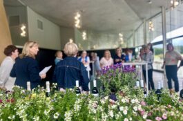 Degroof Petercam Ladies cup 4 juni 2026