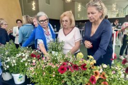Degroof Petercam Ladies cup 4 juni 2026