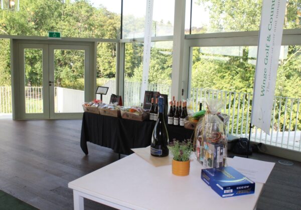 260823 SWING VOOR GOEDE DOELEN (18h & 9h)